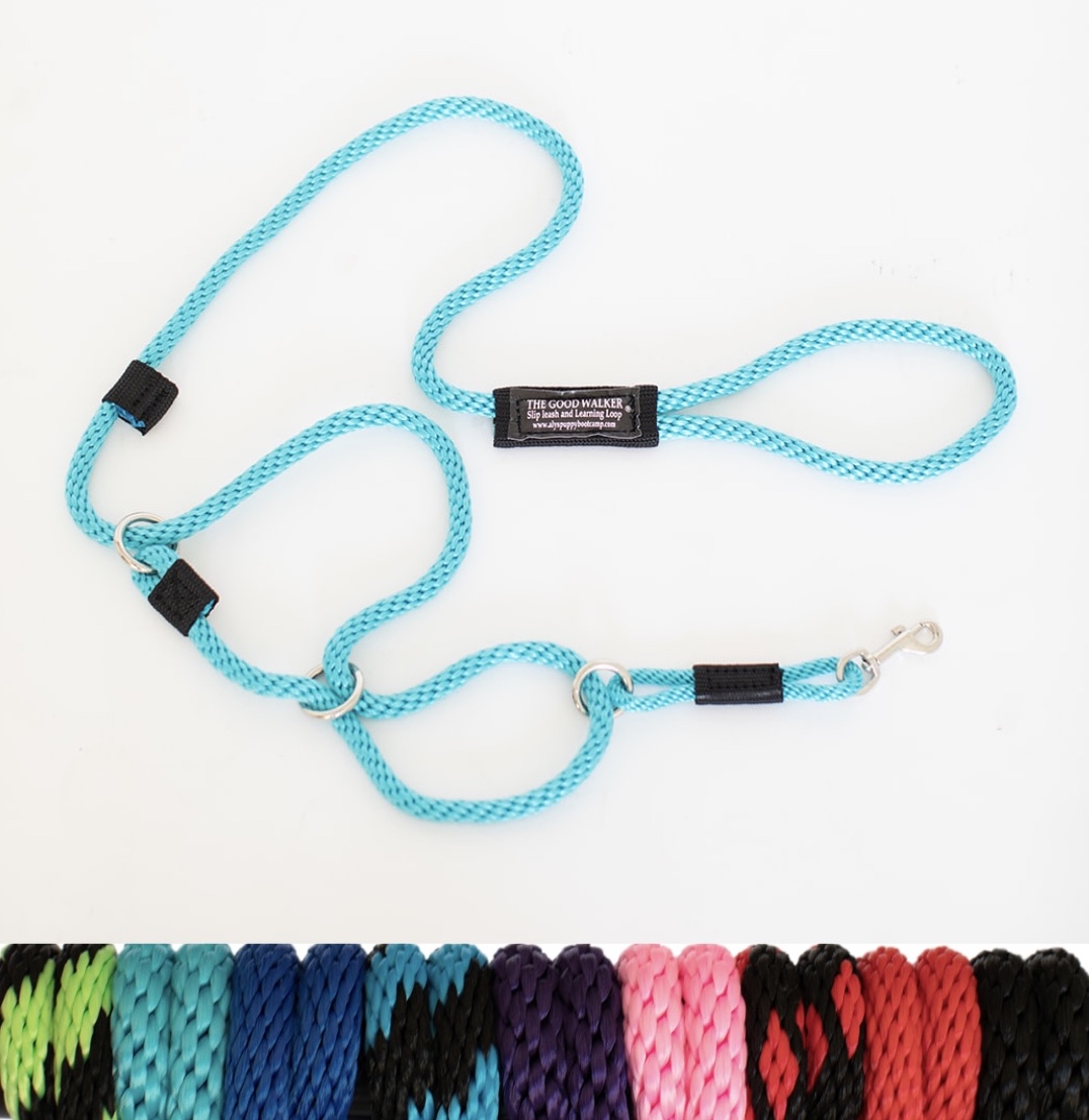 Unleashing Innovation: THE GOOD WALKER® Transforms the Canine Walking Experience