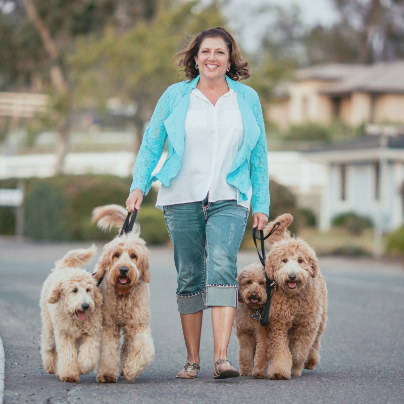 Aly bio pic Alyson Rodges with trained labradoodles for sale