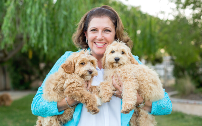 Why is my dog so skittish?