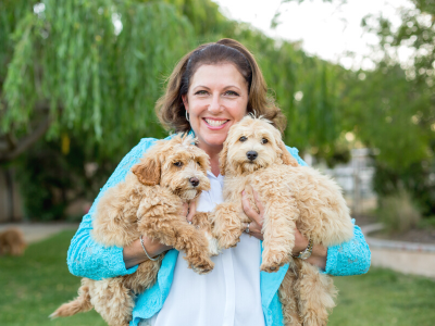 Why is my dog so skittish?