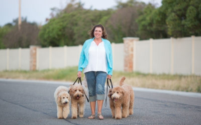 3 Ways to Walk your Dog that will Engage their Mind and Heart