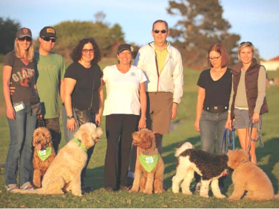 AKC pic Calm puppy outside