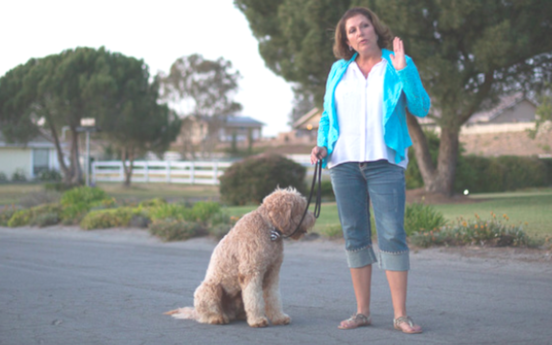 Aly’s Insider Club – May Review