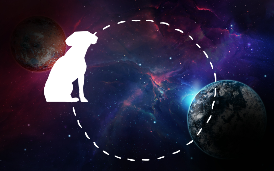 Teaching Your Pup They Are Not the Center of the Universe