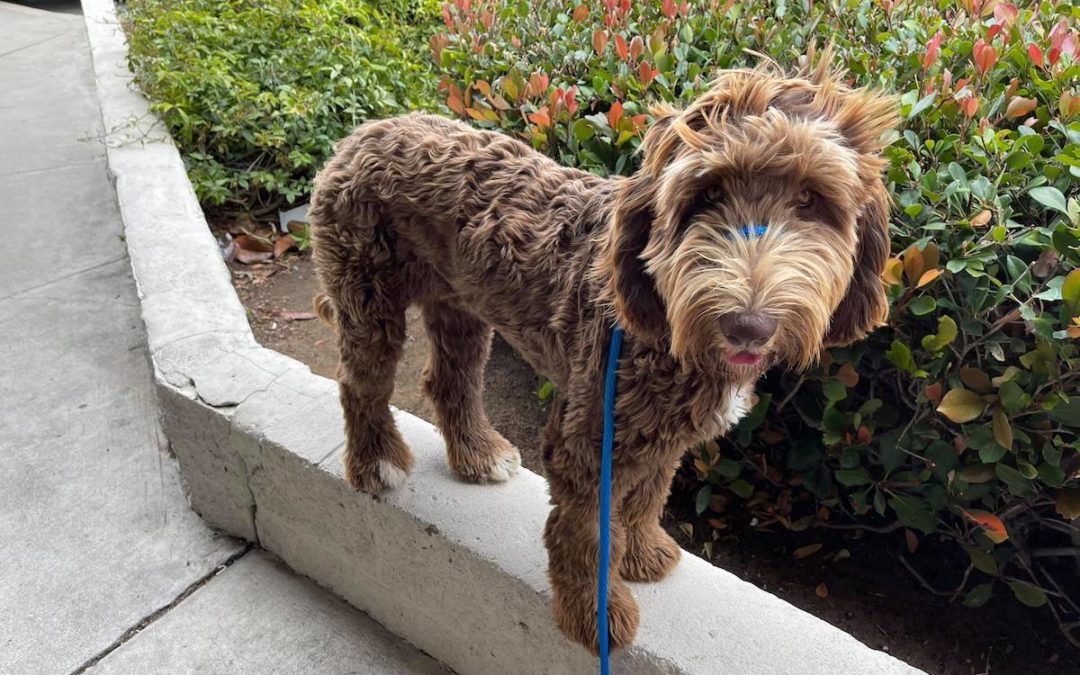 PRACTICE, PRACTICE, PRACTICE