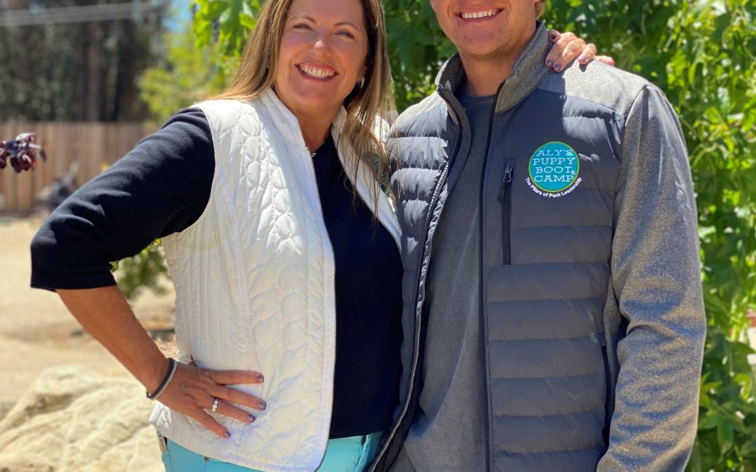 Living with a Trained Dog – Real Dog Stories