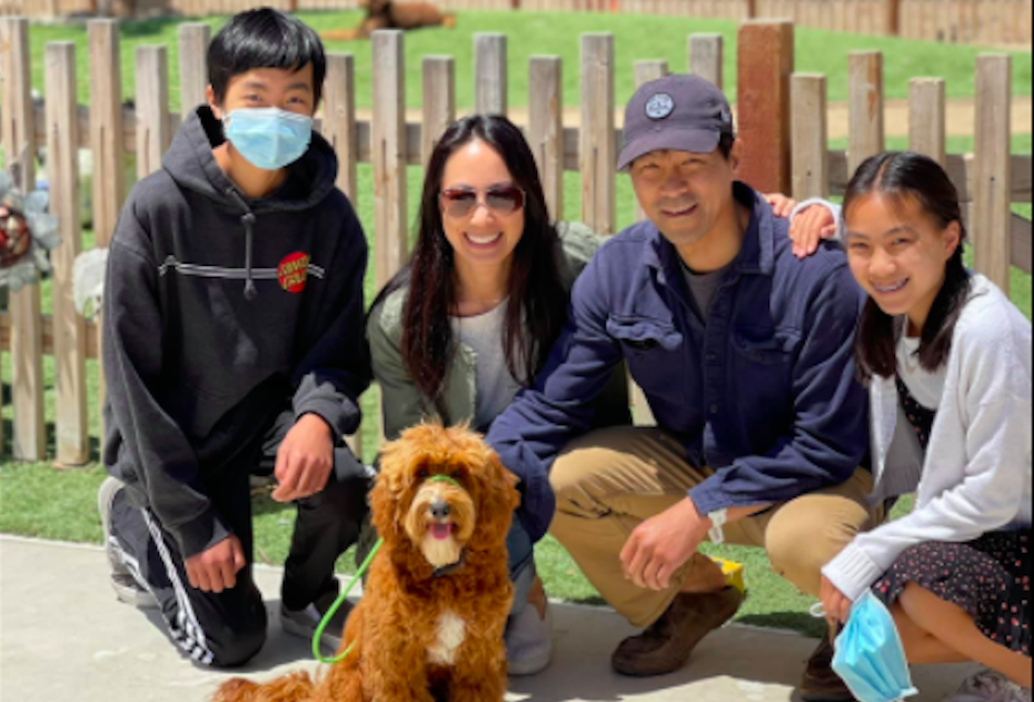 COVID Puppies and Their Humans 