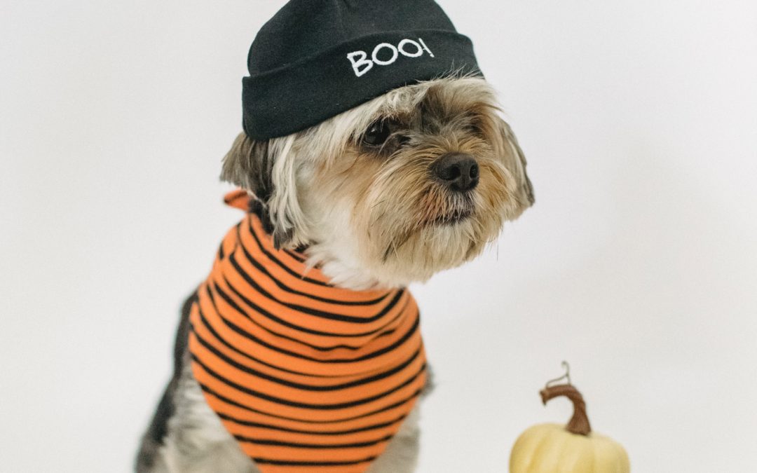 Tricks for Treats: Twinkle Toes