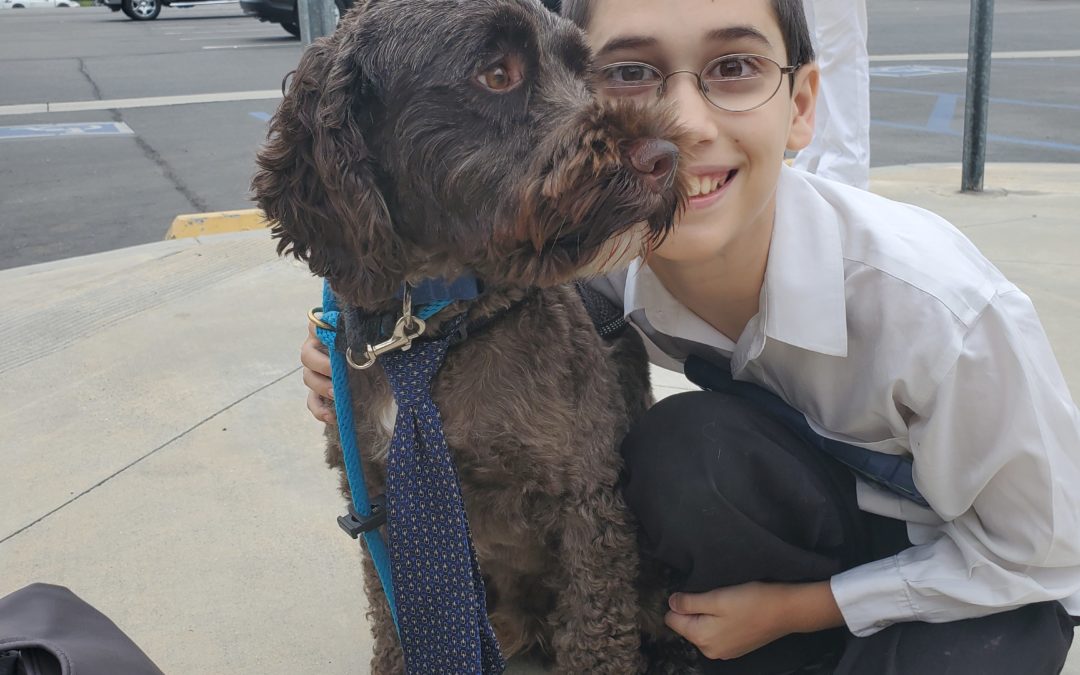 Give Back: Service Dogs {reposted}