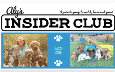 February Round Up – Aly’s Insider Club Facebook Group