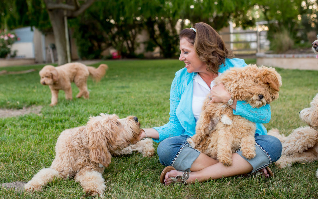 January Round Up- Aly’s Insider Club