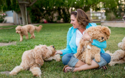 The Academy Workshop – Coming in April