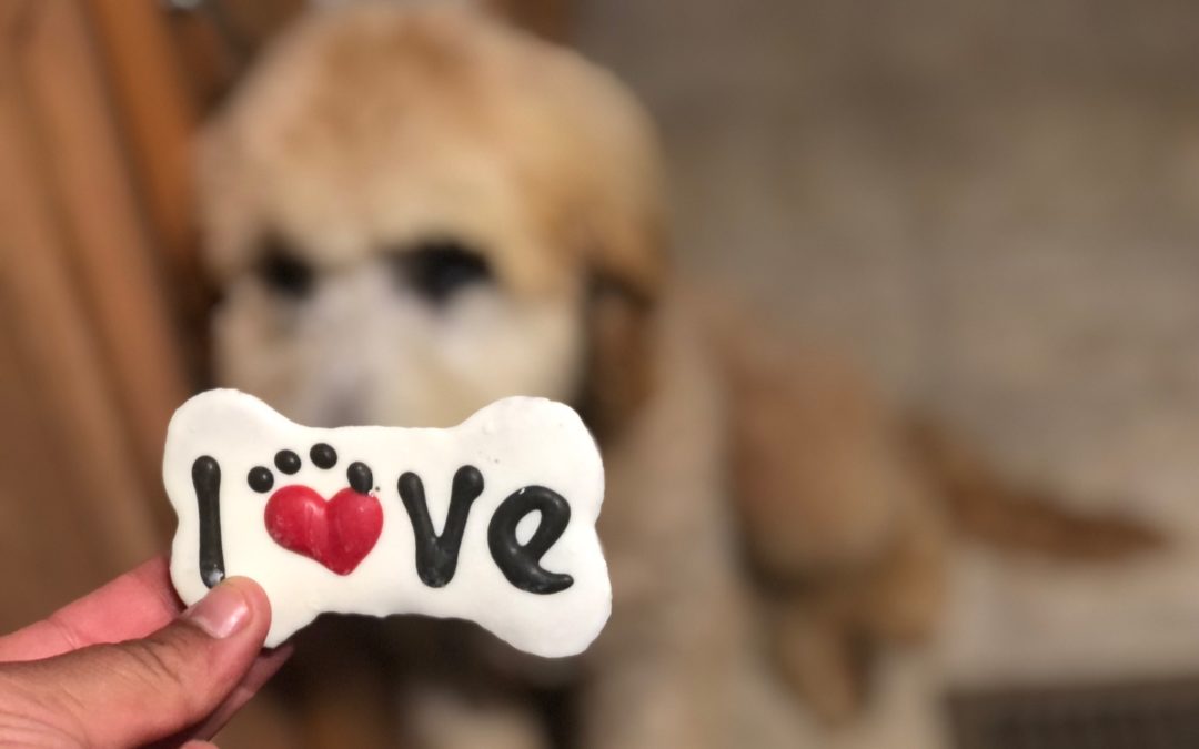 Breeder Affiliate Program