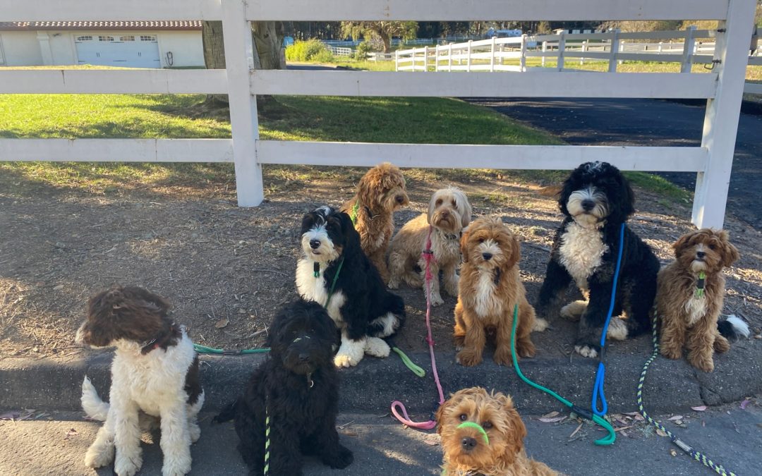 Don’t Be A Tool Fool