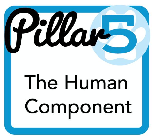 Pillars of Pack Leadership