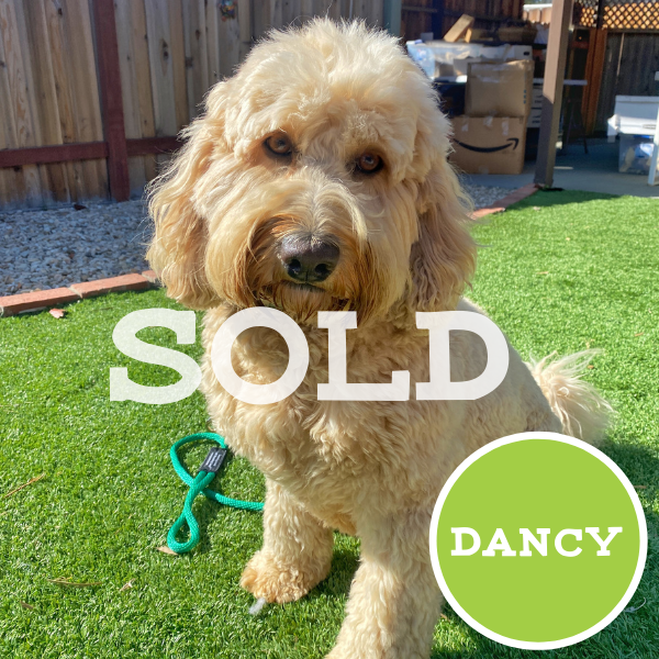 Untitled (600 × 600 px)-24