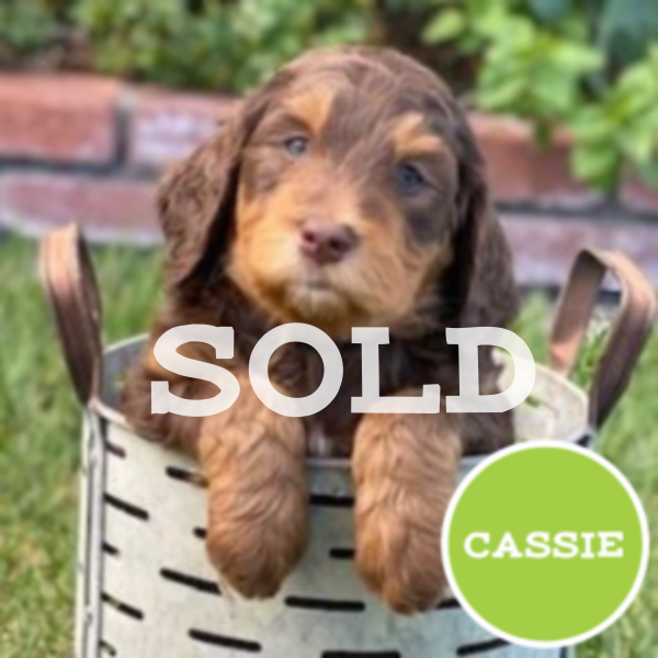 Untitled (600 × 600 px)-28