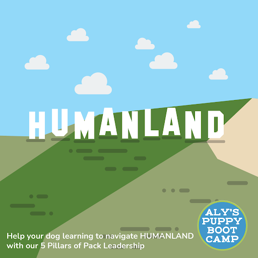 HumanLand