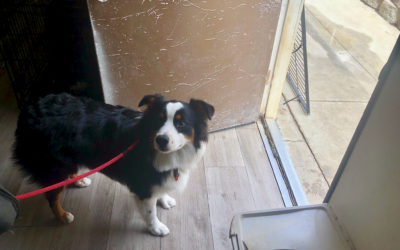 Pillar 3 –  Mastering Purpose Driven Activities TETHERING