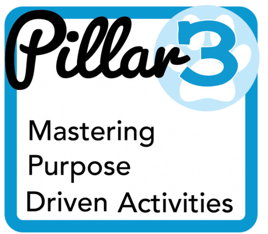 Purpose Driven activities