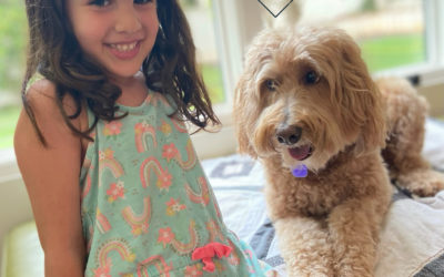 Kid and Dog Safety – What if it Were a Bear?