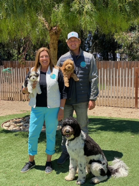 Trained Dogs for Sale: Meeting the Stars of Our Program