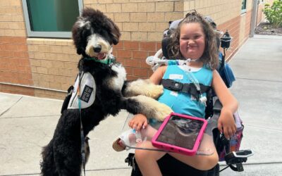 Notice the Nuances: Fine-Tuning Cues In Dog Training