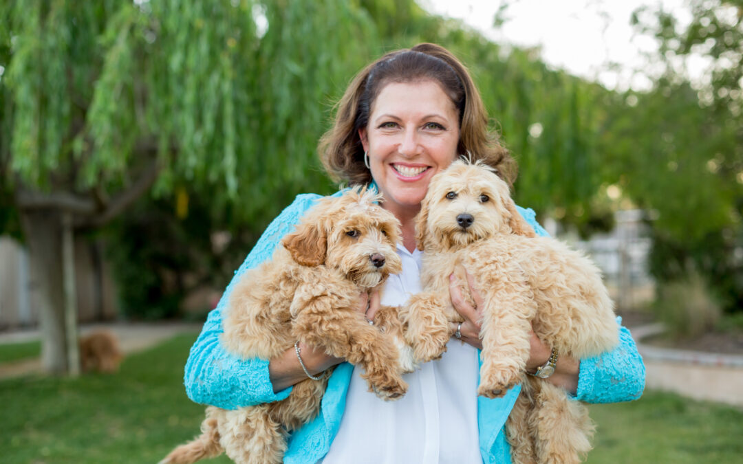 Meet Our Spotlighted Stars: Trained Dogs for Sale