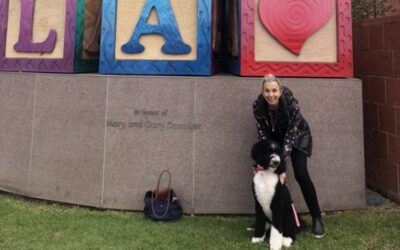 Success Stories: A Trained Dogs for Sale Testimonial