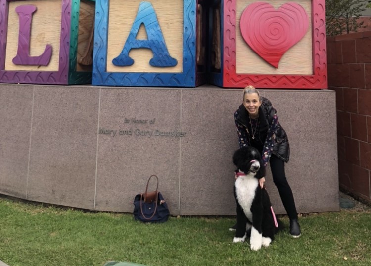 Success Stories: A Trained Dogs for Sale Testimonial