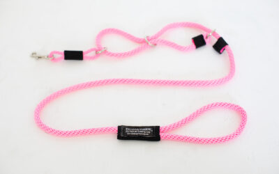 Transform Dog Walks with The Good Walker® Leash!