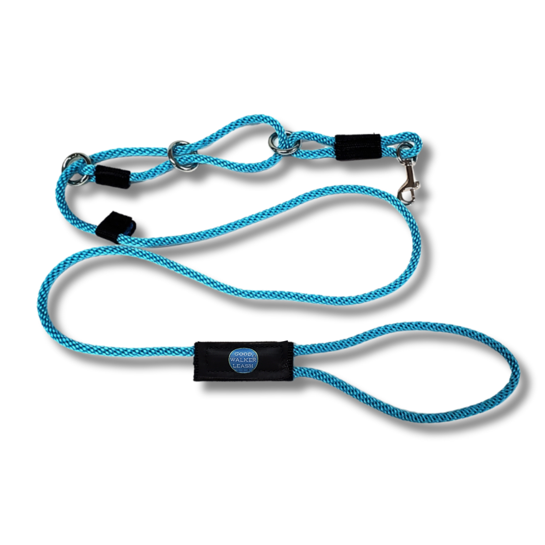 The Good Walker Leash - Small, Aqua