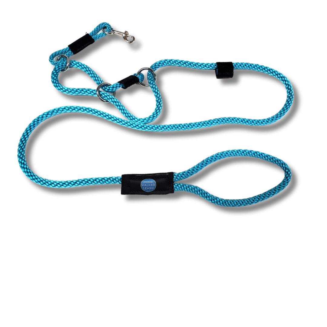 The Good Walker Leash - Regular, Aqua