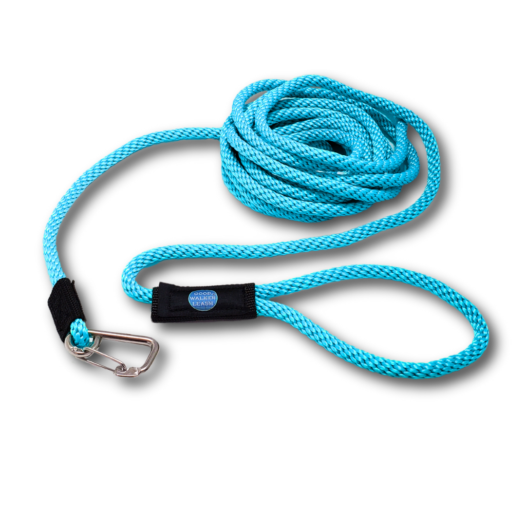 Good Walker Beach & Lake Leash - Regular, Aqua
