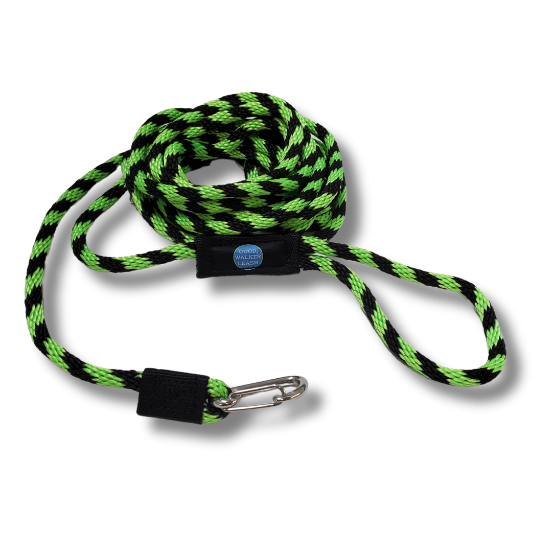 Beach lime black dog leash for training.
