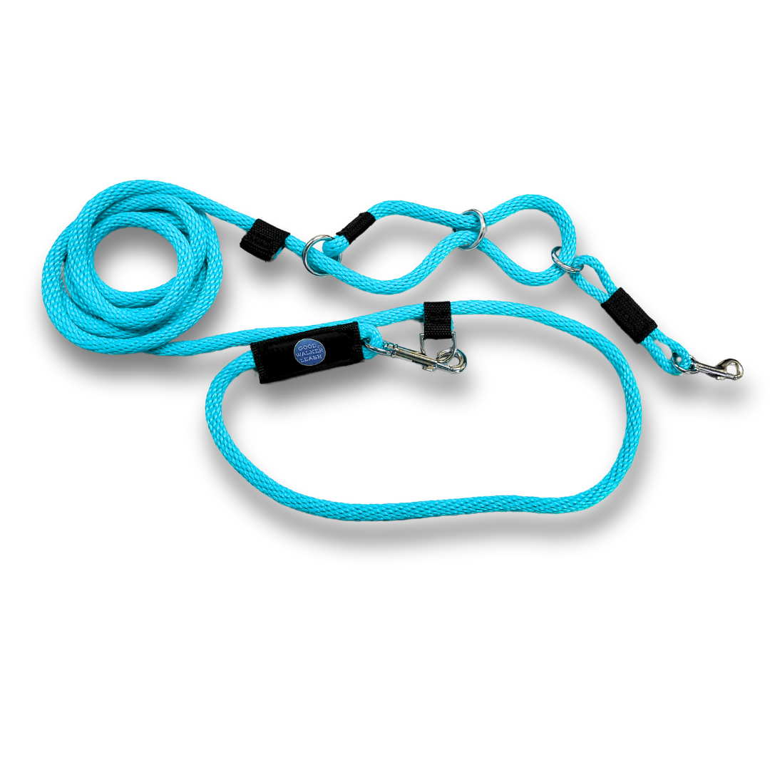 Good Walker Hands-Free Leash - Regular, Aqua