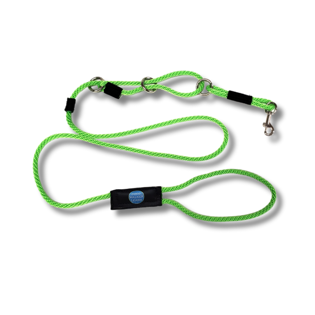 The Good Walker Leash - Small, Lime