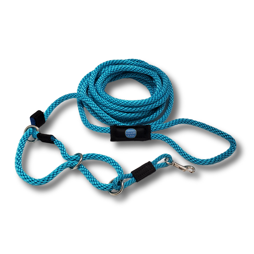 Good Walker Long Line Leash - Regular, Aqua