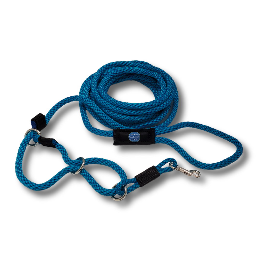 Royal blue long dog leash for training.