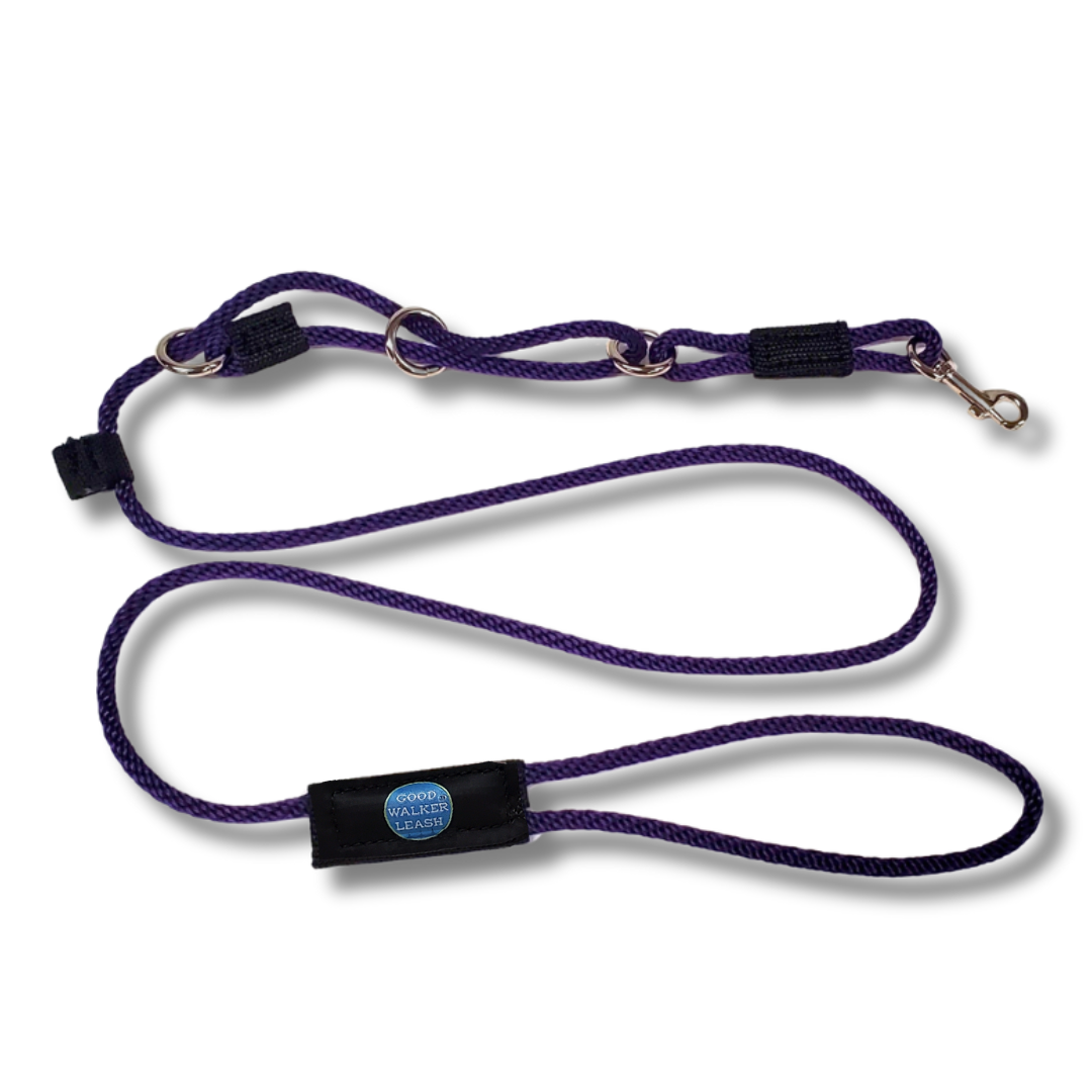 The Good Walker Leash - Small, Purple