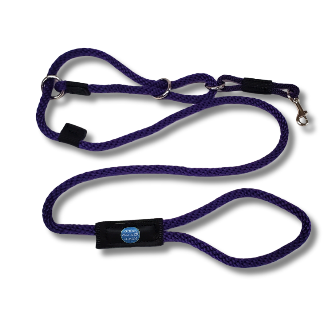 The Good Walker Leash - Regular, Purple