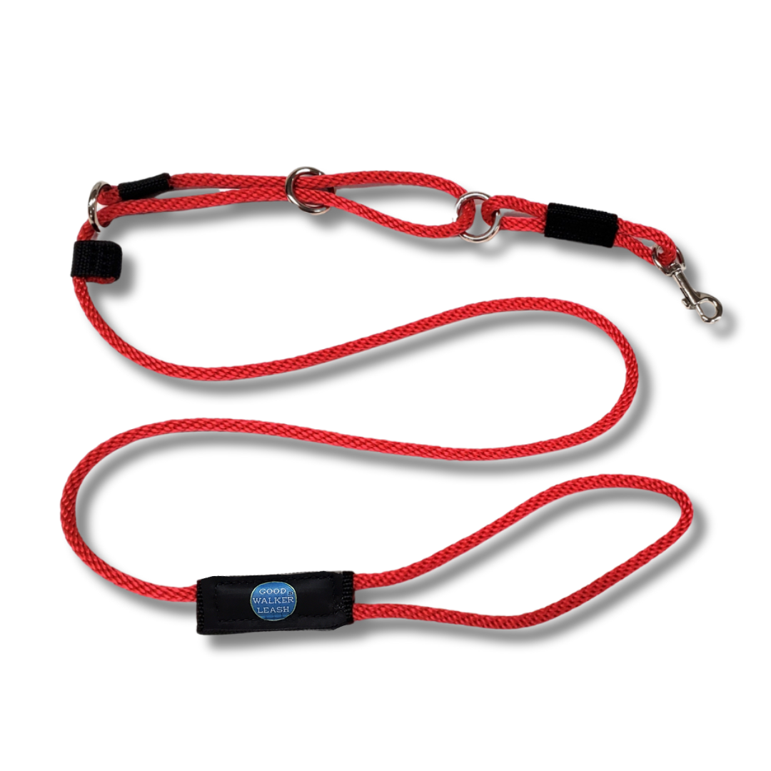 Red 4-inch dog leash for training needs.