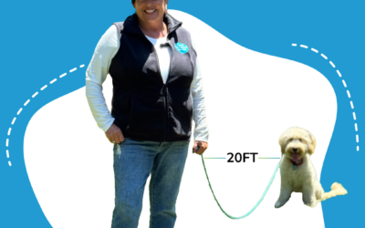 The Long Line: My Summer Secret Weapon for Safer Freedom