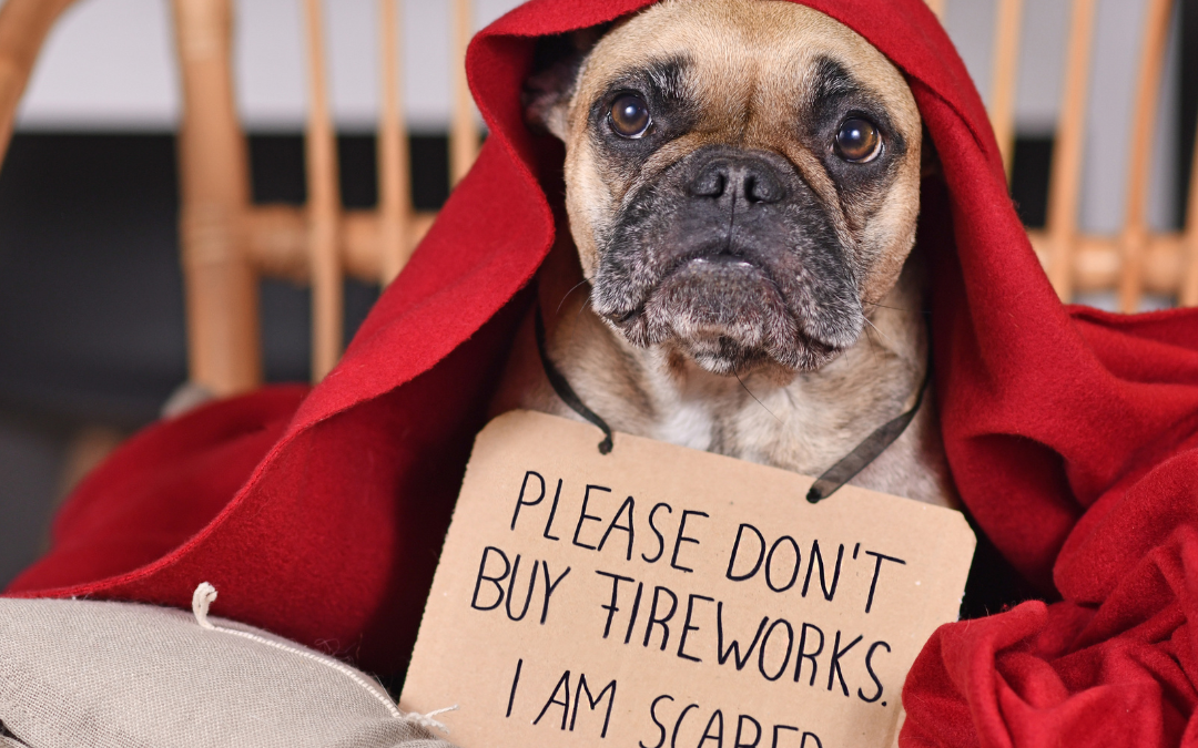 Why Are Dogs Scared of Fireworks?