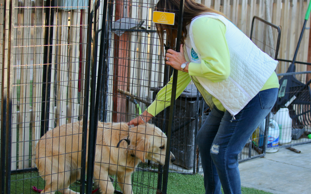 Spoiled Dog? Why Freedom Should Be Earned, Not Given